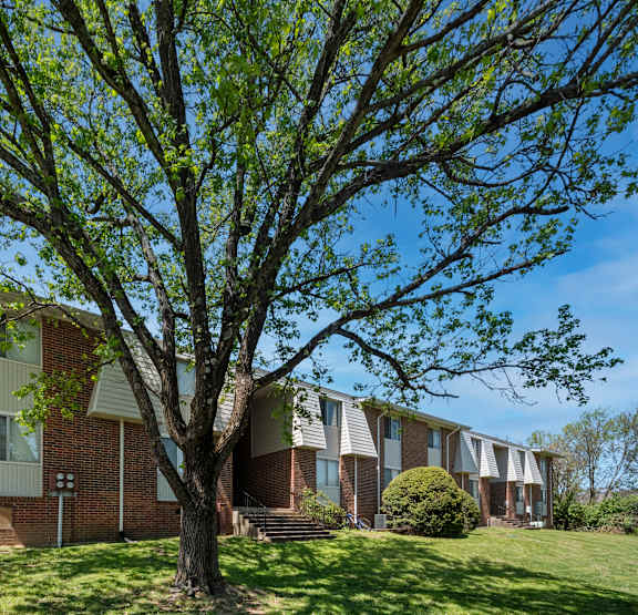 A tree in front of a building with a clear blue sky.