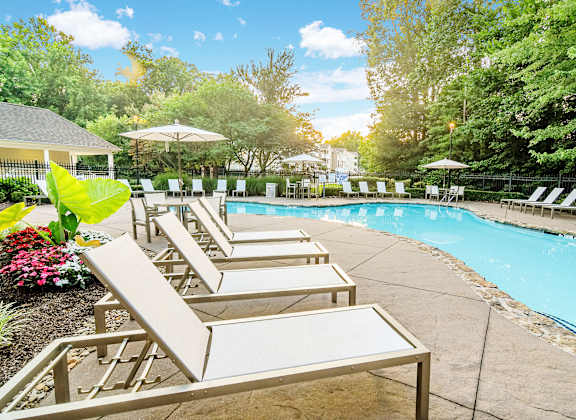 A pool surrounded by trees and chairs.