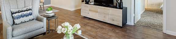 a living room with a couch and a tv at Bridgewater Apartment Homes, Brandon, 39047