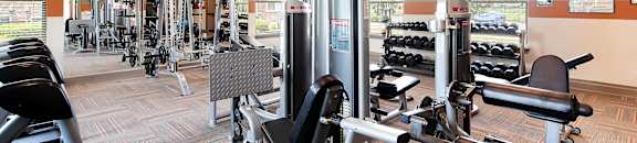 a gym with weights and cardio machines and a television at Audubon Park Apartment Homes, Louisiana, 70791