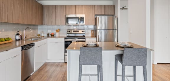 Old Town Triangle Chicago Apartments