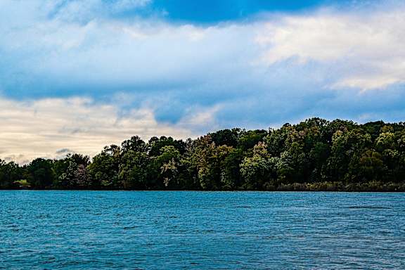 A body of water with a forest in the background.