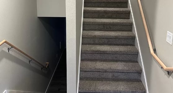 a staircase with carpeted stairs going up and down in a house