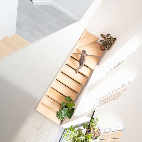 A wooden staircase with a cat walking up it.
