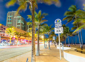 A street sign on a pole with palm trees in the background.