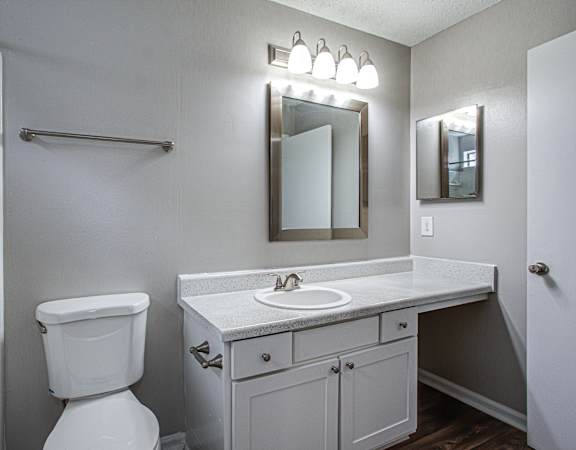 a bathroom with a toilet sink and mirror