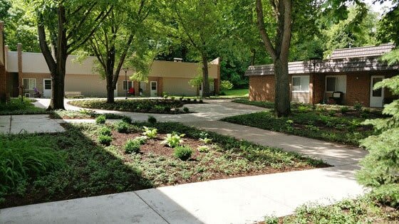 a yard with a sidewalk and trees in the background