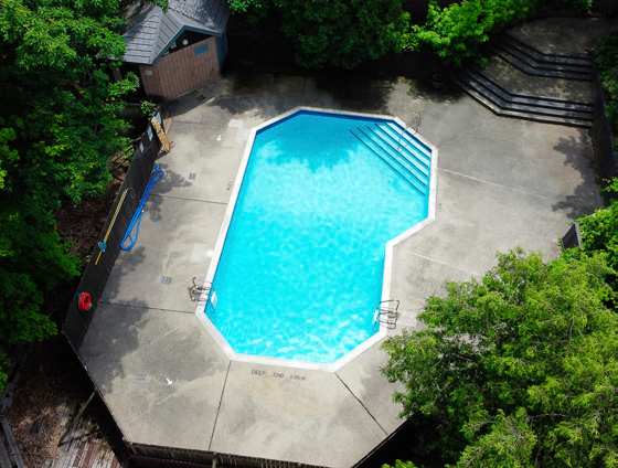 A small pool surrounded by trees.