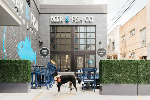 a dog standing in front of a restaurant at Dillard Apartments in Fargo, ND 58102