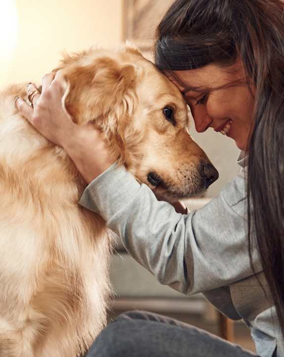 A woman is petting a golden retriever dog.