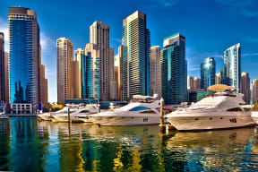 a group of boats docked in a harbor with skyscrapers in the background