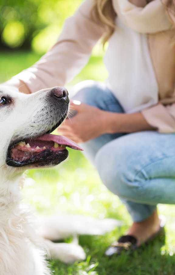 A woman is petting a white dog in a grassy area.