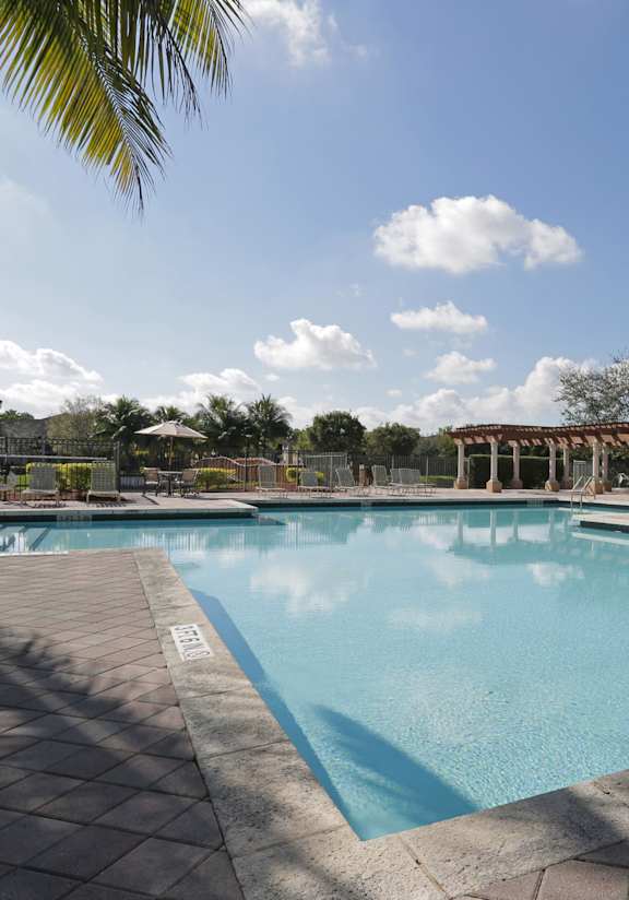 A large swimming pool surrounded by palm trees and lounge chairs.