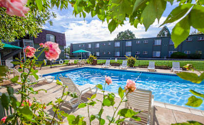 A pool surrounded by chairs and flowers with a building in the background.