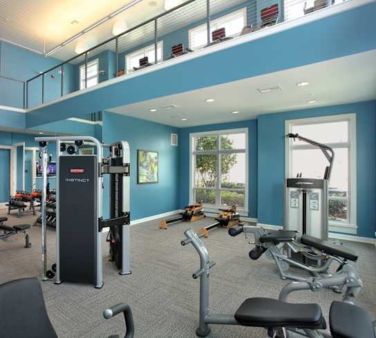 A gym with a variety of equipment including a treadmill, weights, and a bench press.