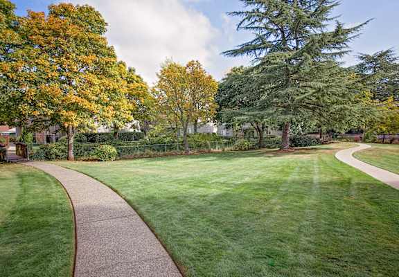 A walkway in a park with trees on the left and right.