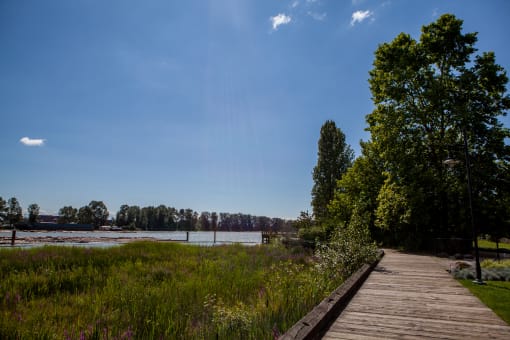 a wooden boardwalk through a grassy area with trees on the other side of the water