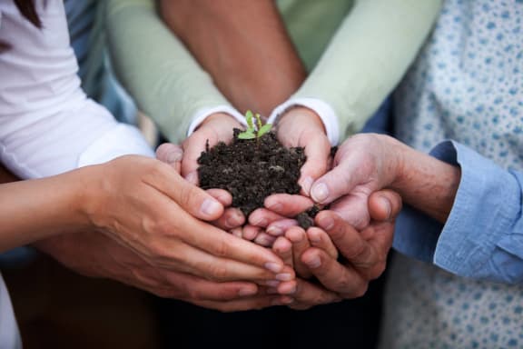 a group of people holding a small plant in their hands