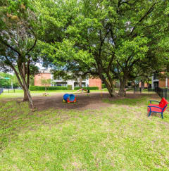 our apartments showcase a dog park with plenty of room to run and play