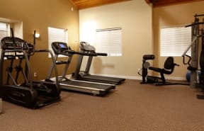 a room with a lot of exercise equipment in it