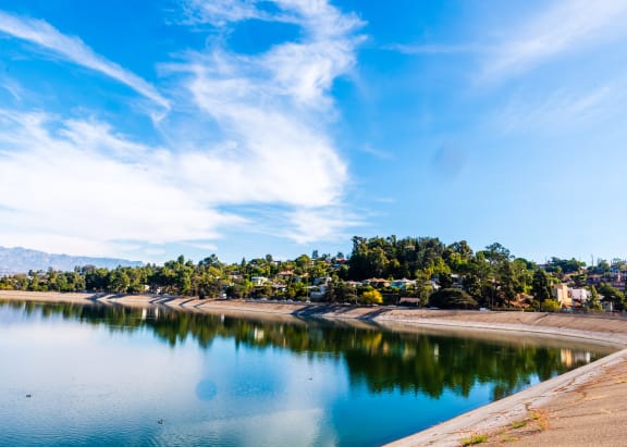 a body of water with trees in the background and a blue sky