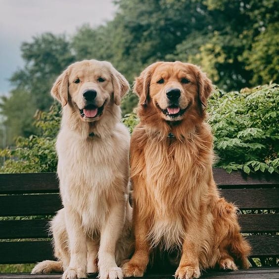 Millennium Apartment Homes Apartments in Greenville, SC