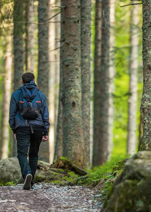 A man in a blue jacket is walking on a forest path.