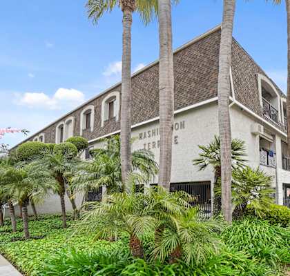 A building with the words "Washington Terrace" on it is surrounded by palm trees and greenery.