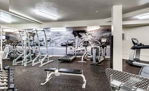 A gym with a variety of equipment including weights and cardio machines.