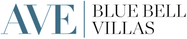 A blue and black image with the letters AVE.