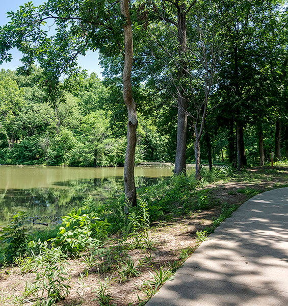 a path next to a body of water and trees