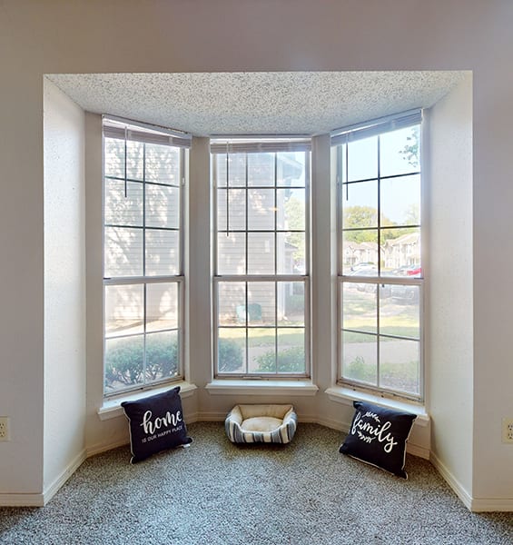A room with a carpeted floor, two pillows, and a window.