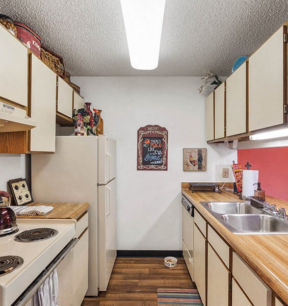 a kitchen with a stove sink and refrigerator