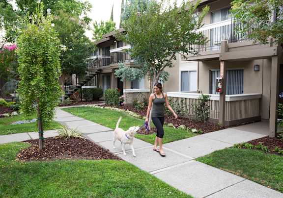 a woman walking her dog on a sidewalk in front of an apartment building