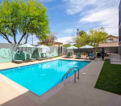 A large outdoor swimming pool surrounded by a concrete deck and a green tree.