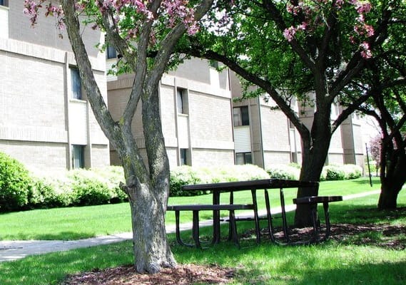 A tree with pink blossoms stands in front of a building.