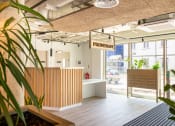 Thumbnail 3 of 8 - a reception area with a plant in the foreground