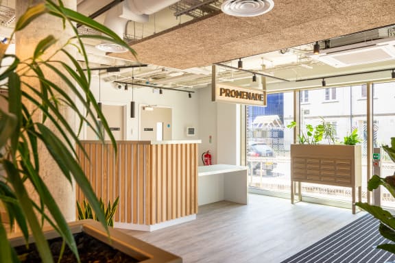 a reception area with a plant in the foreground