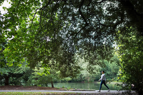 Person walking in the park with trees and lake in the background at The Lark, London