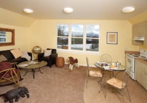 Kitchen area
