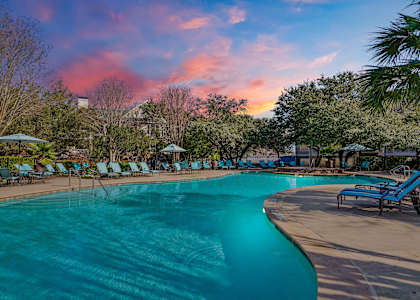 A large swimming pool surrounded by trees and lounge chairs.