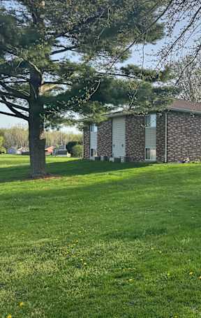 A grassy area in front of a building with a tree and a car in the background.