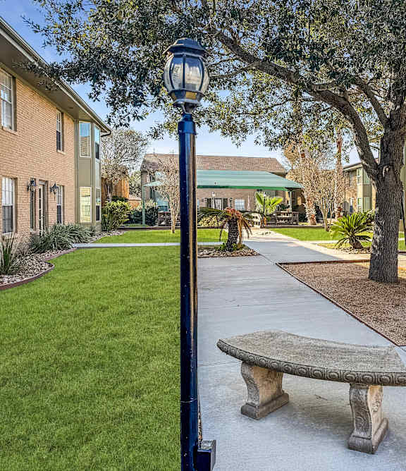 A bench sits under a tree next to a sidewalk.