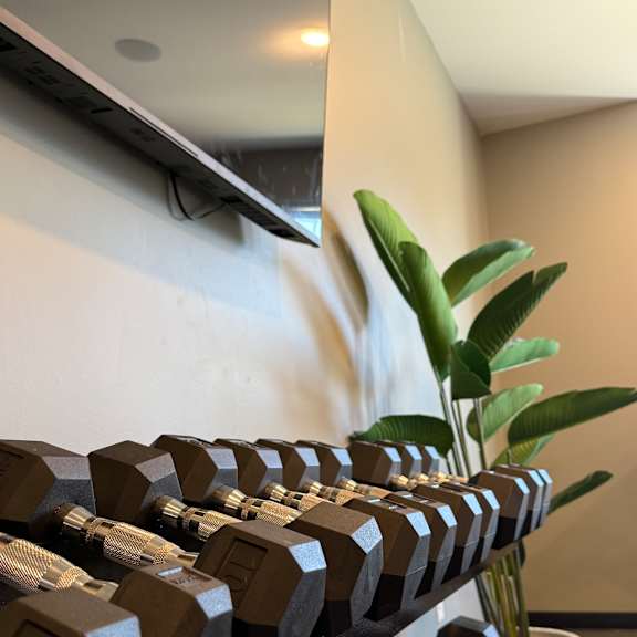 A row of dumbbells are lined up on a bench.