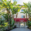 A modern building with a balcony and a palm tree in front.