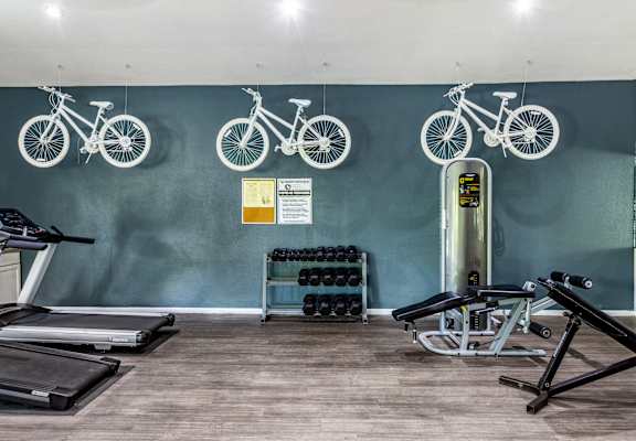 A gym with treadmills, exercise bikes, and weights.