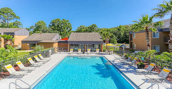 A large swimming pool surrounded by sun loungers and palm trees.