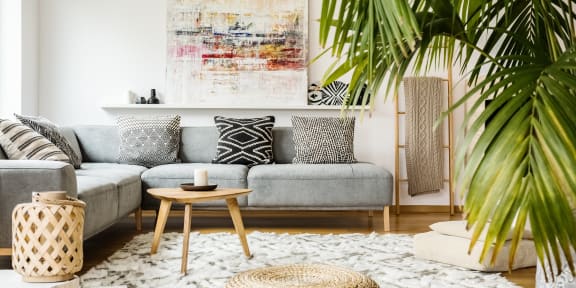 a living room with couches and a rug and a palm tree