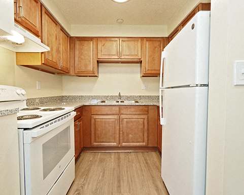Photo Gallery Image
