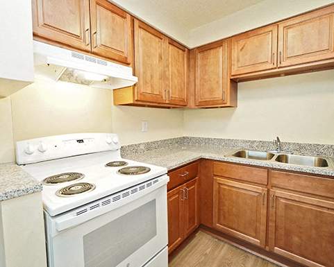 Photo Gallery Image